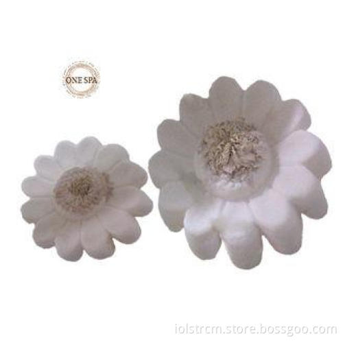 Heart Sweet Candy Fizzy Bath Bombs in chrysanthemum / Menth